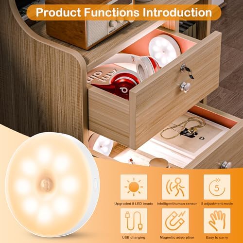 Motion Sensor LED Light