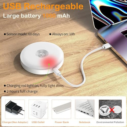 Motion Sensor LED Light